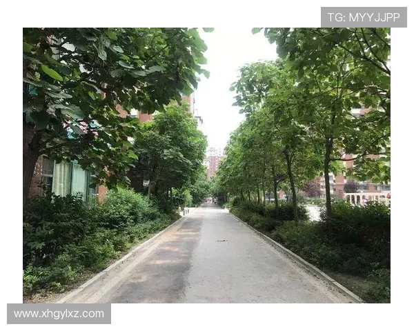 vinbet浩博首页指南：如何在平台上获取最佳奖金和优惠